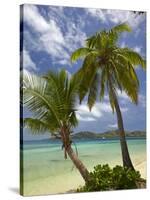 Beach and Palm Trees, Plantation Island Resort, Malolo Lailai Island, Mamanuca Islands, Fiji-David Wall-Stretched Canvas