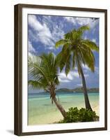 Beach and Palm Trees, Plantation Island Resort, Malolo Lailai Island, Mamanuca Islands, Fiji-David Wall-Framed Premium Photographic Print