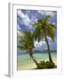 Beach and Palm Trees, Plantation Island Resort, Malolo Lailai Island, Mamanuca Islands, Fiji-David Wall-Framed Premium Photographic Print