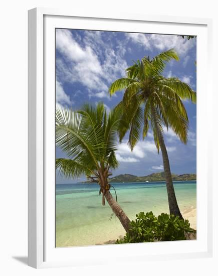 Beach and Palm Trees, Plantation Island Resort, Malolo Lailai Island, Mamanuca Islands, Fiji-David Wall-Framed Premium Photographic Print