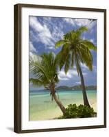 Beach and Palm Trees, Plantation Island Resort, Malolo Lailai Island, Mamanuca Islands, Fiji-David Wall-Framed Premium Photographic Print