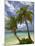 Beach and Palm Trees, Plantation Island Resort, Malolo Lailai Island, Mamanuca Islands, Fiji-David Wall-Mounted Premium Photographic Print