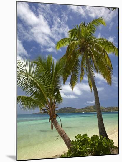 Beach and Palm Trees, Plantation Island Resort, Malolo Lailai Island, Mamanuca Islands, Fiji-David Wall-Mounted Premium Photographic Print