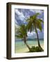 Beach and Palm Trees, Plantation Island Resort, Malolo Lailai Island, Mamanuca Islands, Fiji-David Wall-Framed Photographic Print