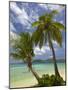 Beach and Palm Trees, Plantation Island Resort, Malolo Lailai Island, Mamanuca Islands, Fiji-David Wall-Mounted Photographic Print