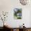 Beach and Palm Trees, Plantation Island Resort, Malolo Lailai Island, Mamanuca Islands, Fiji-David Wall-Photographic Print displayed on a wall