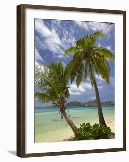 Beach and Palm Trees, Plantation Island Resort, Malolo Lailai Island, Mamanuca Islands, Fiji-David Wall-Framed Photographic Print