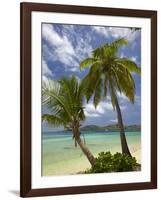 Beach and Palm Trees, Plantation Island Resort, Malolo Lailai Island, Mamanuca Islands, Fiji-David Wall-Framed Photographic Print