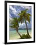 Beach and Palm Trees, Plantation Island Resort, Malolo Lailai Island, Mamanuca Islands, Fiji-David Wall-Framed Photographic Print