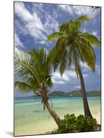 Beach and Palm Trees, Plantation Island Resort, Malolo Lailai Island, Mamanuca Islands, Fiji-David Wall-Mounted Photographic Print