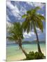 Beach and Palm Trees, Plantation Island Resort, Malolo Lailai Island, Mamanuca Islands, Fiji-David Wall-Mounted Photographic Print