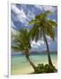 Beach and Palm Trees, Plantation Island Resort, Malolo Lailai Island, Mamanuca Islands, Fiji-David Wall-Framed Photographic Print