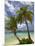 Beach and Palm Trees, Plantation Island Resort, Malolo Lailai Island, Mamanuca Islands, Fiji-David Wall-Mounted Photographic Print