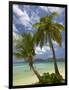 Beach and Palm Trees, Plantation Island Resort, Malolo Lailai Island, Mamanuca Islands, Fiji-David Wall-Framed Photographic Print