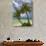 Beach and Palm Trees, Plantation Island Resort, Malolo Lailai Island, Mamanuca Islands, Fiji-David Wall-Photographic Print displayed on a wall
