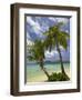 Beach and Palm Trees, Plantation Island Resort, Malolo Lailai Island, Mamanuca Islands, Fiji-David Wall-Framed Photographic Print