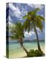 Beach and Palm Trees, Plantation Island Resort, Malolo Lailai Island, Mamanuca Islands, Fiji-David Wall-Stretched Canvas