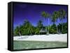 Beach and Palm Trees, Tahiti, Society Islands, French Polynesia, South Pacific Islands, Pacific-Sylvain Grandadam-Framed Stretched Canvas
