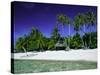 Beach and Palm Trees, Tahiti, Society Islands, French Polynesia, South Pacific Islands, Pacific-Sylvain Grandadam-Stretched Canvas