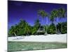 Beach and Palm Trees, Tahiti, Society Islands, French Polynesia, South Pacific Islands, Pacific-Sylvain Grandadam-Mounted Photographic Print