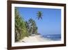 Beach and Palm Trees, Talpe, Sri Lanka, Indian Ocean, Asia-Charlie-Framed Photographic Print