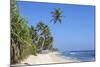 Beach and Palm Trees, Talpe, Sri Lanka, Indian Ocean, Asia-Charlie-Mounted Photographic Print