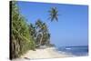 Beach and Palm Trees, Talpe, Sri Lanka, Indian Ocean, Asia-Charlie-Stretched Canvas