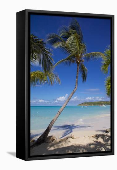 Beach and Palm Trees-Frank Fell-Framed Stretched Canvas