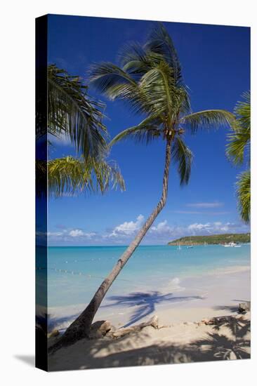 Beach and Palm Trees-Frank Fell-Stretched Canvas