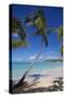 Beach and Palm Trees-Frank Fell-Stretched Canvas