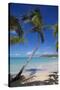 Beach and Palm Trees-Frank Fell-Stretched Canvas