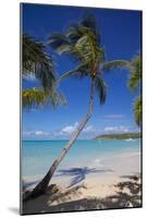 Beach and Palm Trees-Frank Fell-Mounted Photographic Print