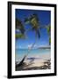 Beach and Palm Trees-Frank Fell-Framed Photographic Print