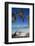 Beach and Palm Trees-Frank Fell-Framed Photographic Print