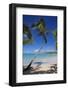 Beach and Palm Trees-Frank Fell-Framed Photographic Print