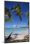 Beach and Palm Trees-Frank Fell-Mounted Photographic Print