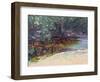 Beach and Rain Forest, Cape Tribulation, Northern Queensland, Australia-Robert Tyndall-Framed Giclee Print