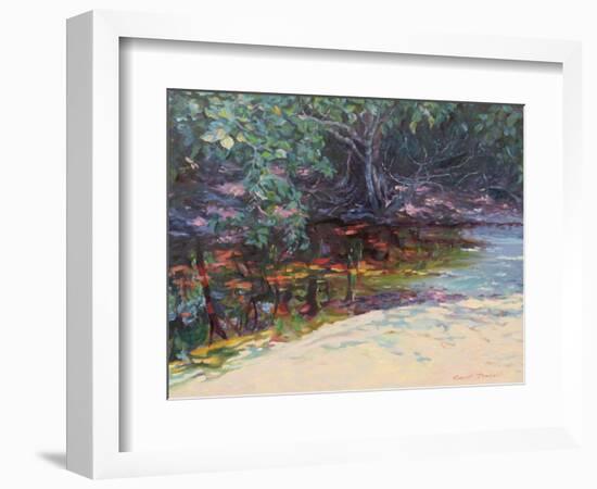 Beach and Rain Forest, Cape Tribulation, Northern Queensland, Australia-Robert Tyndall-Framed Giclee Print