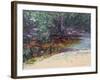 Beach and Rain Forest, Cape Tribulation, Northern Queensland, Australia-Robert Tyndall-Framed Giclee Print