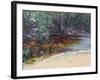 Beach and Rain Forest, Cape Tribulation, Northern Queensland, Australia-Robert Tyndall-Framed Giclee Print