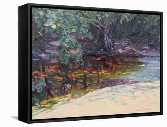 Beach and Rain Forest, Cape Tribulation, Northern Queensland, Australia-Robert Tyndall-Framed Stretched Canvas