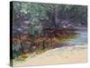 Beach and Rain Forest, Cape Tribulation, Northern Queensland, Australia-Robert Tyndall-Stretched Canvas