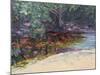 Beach and Rain Forest, Cape Tribulation, Northern Queensland, Australia-Robert Tyndall-Mounted Giclee Print