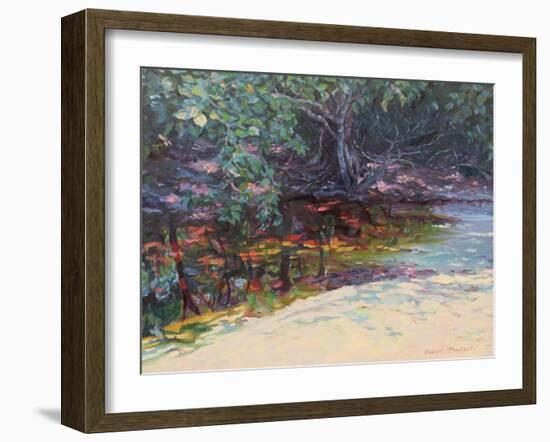 Beach and Rain Forest, Cape Tribulation, Northern Queensland, Australia-Robert Tyndall-Framed Giclee Print