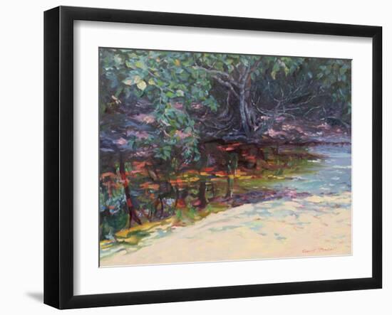 Beach and Rain Forest, Cape Tribulation, Northern Queensland, Australia-Robert Tyndall-Framed Giclee Print