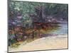 Beach and Rain Forest, Cape Tribulation, Northern Queensland, Australia-Robert Tyndall-Mounted Giclee Print