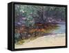 Beach and Rain Forest, Cape Tribulation, Northern Queensland, Australia-Robert Tyndall-Framed Stretched Canvas