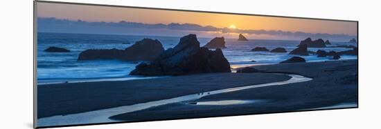 Beach and rock formations at sunset, Harris Beach State Park, Oregon, USA-Panoramic Images-Mounted Photographic Print