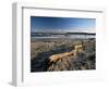 Beach and Sea at Dusk, Alnmouth, Northumberland, England, United Kingdom-Lee Frost-Framed Photographic Print