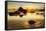 Beach and sea stacks at sunset, Indian Beach, Ecola State Park, Oregon-Adam Jones-Framed Stretched Canvas